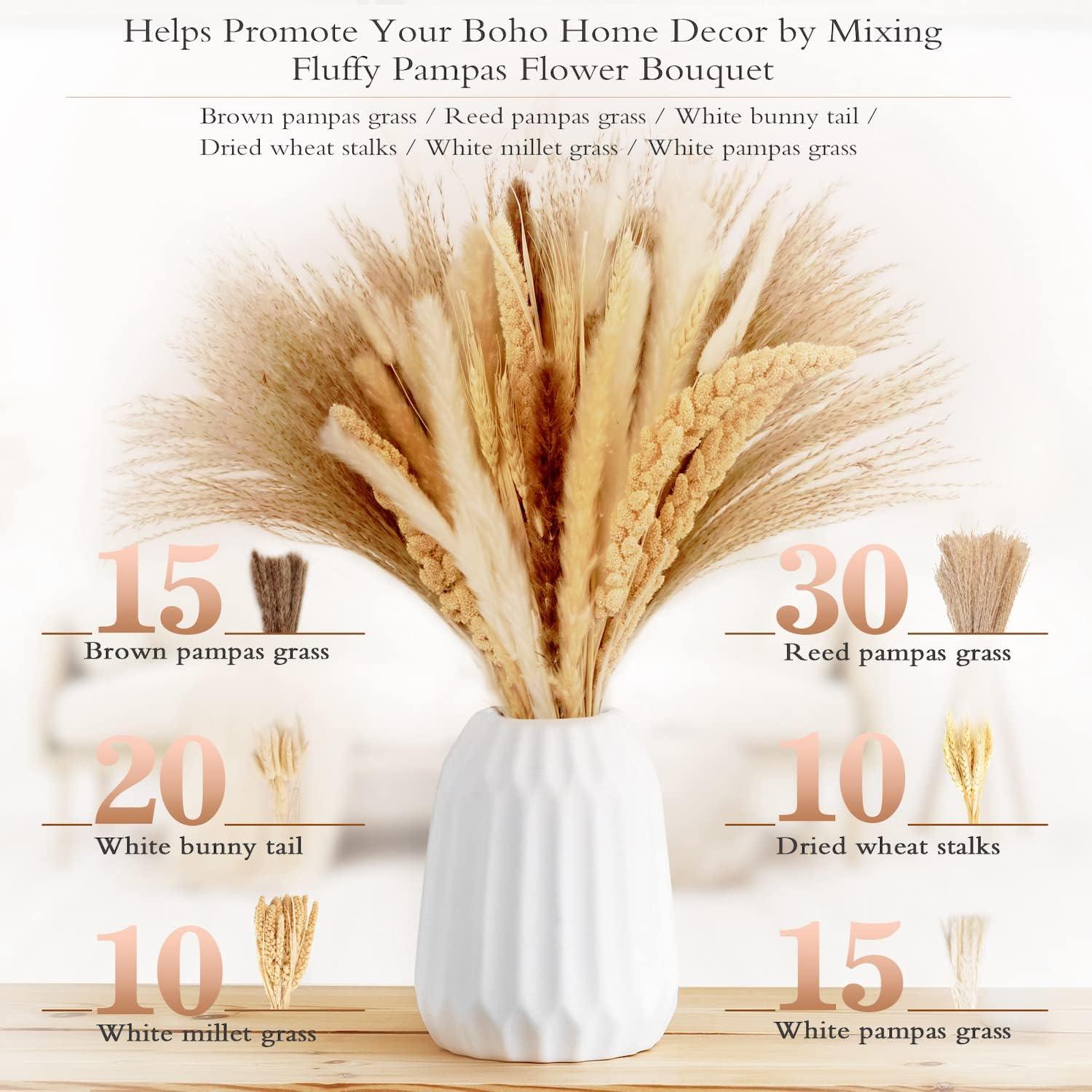 Ramo de Hierba Pampas Secas Naturales 100 Pcs 43 cm Decoración