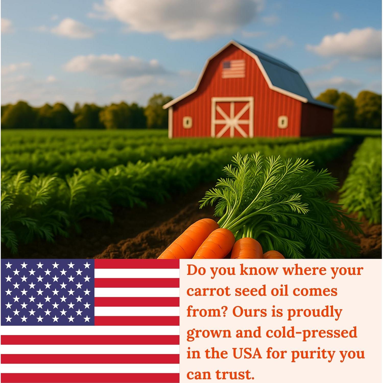 Aceite de Semilla de Zanahoria Pomberries 118 ml - Puro y Sin Refina