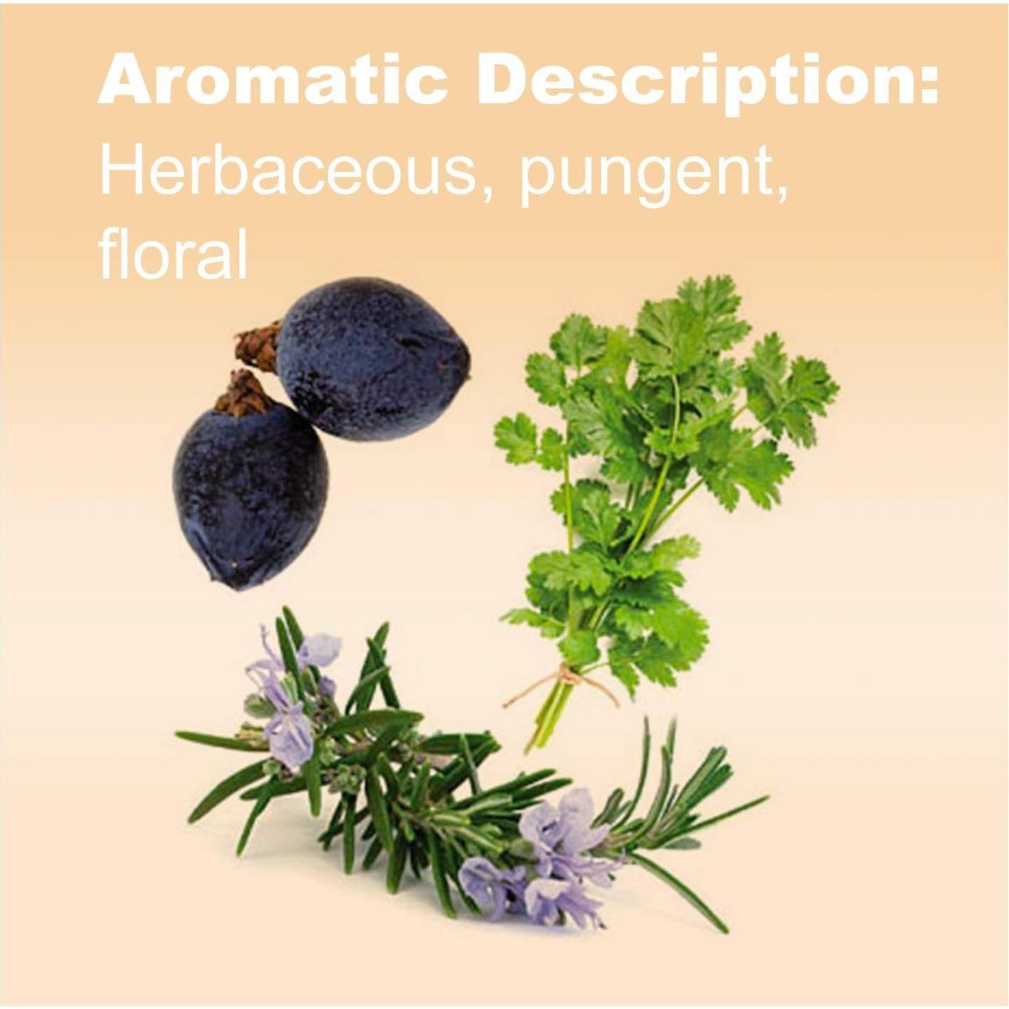 Aceite Esencial doTERRA Zendocrine 15 mL - Desintoxicante