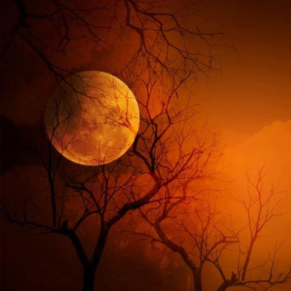 Aceite de Fragancia Sangre de Vampiro Virginia Candle 113 g