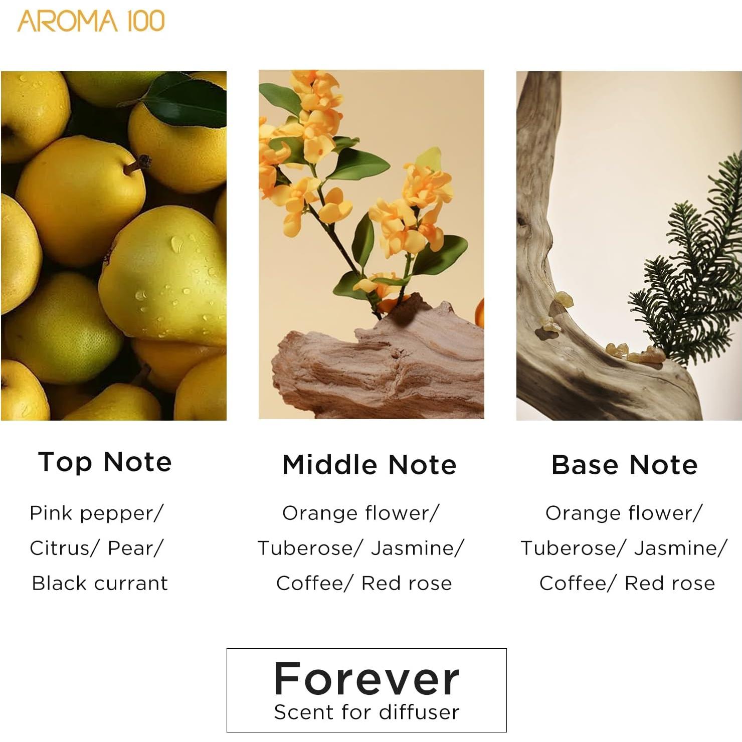 Aceite Difusor de Aromaterapia Aroma100 Té Blanco 110ml