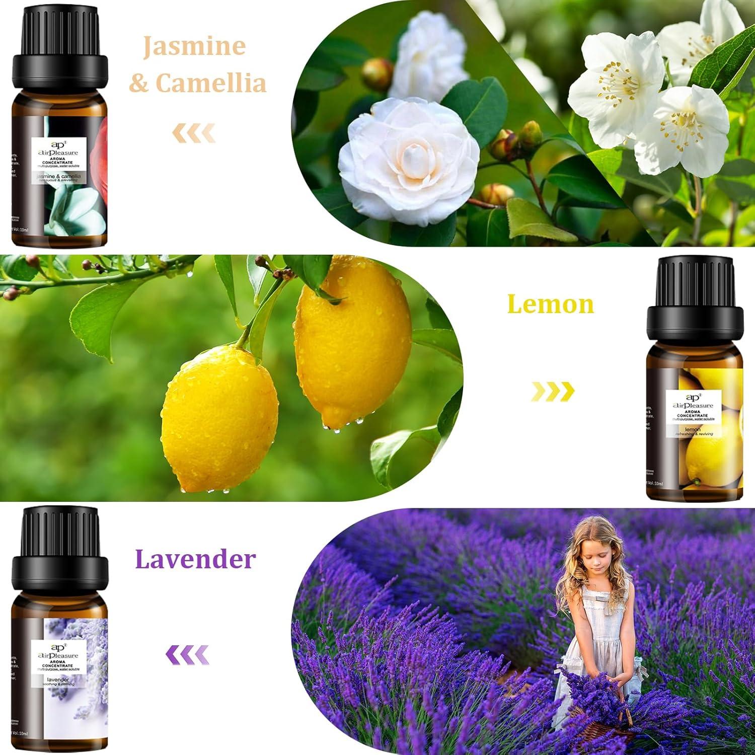 Set de Aceites Esenciales ap airpleasure Refresh 6x10ml