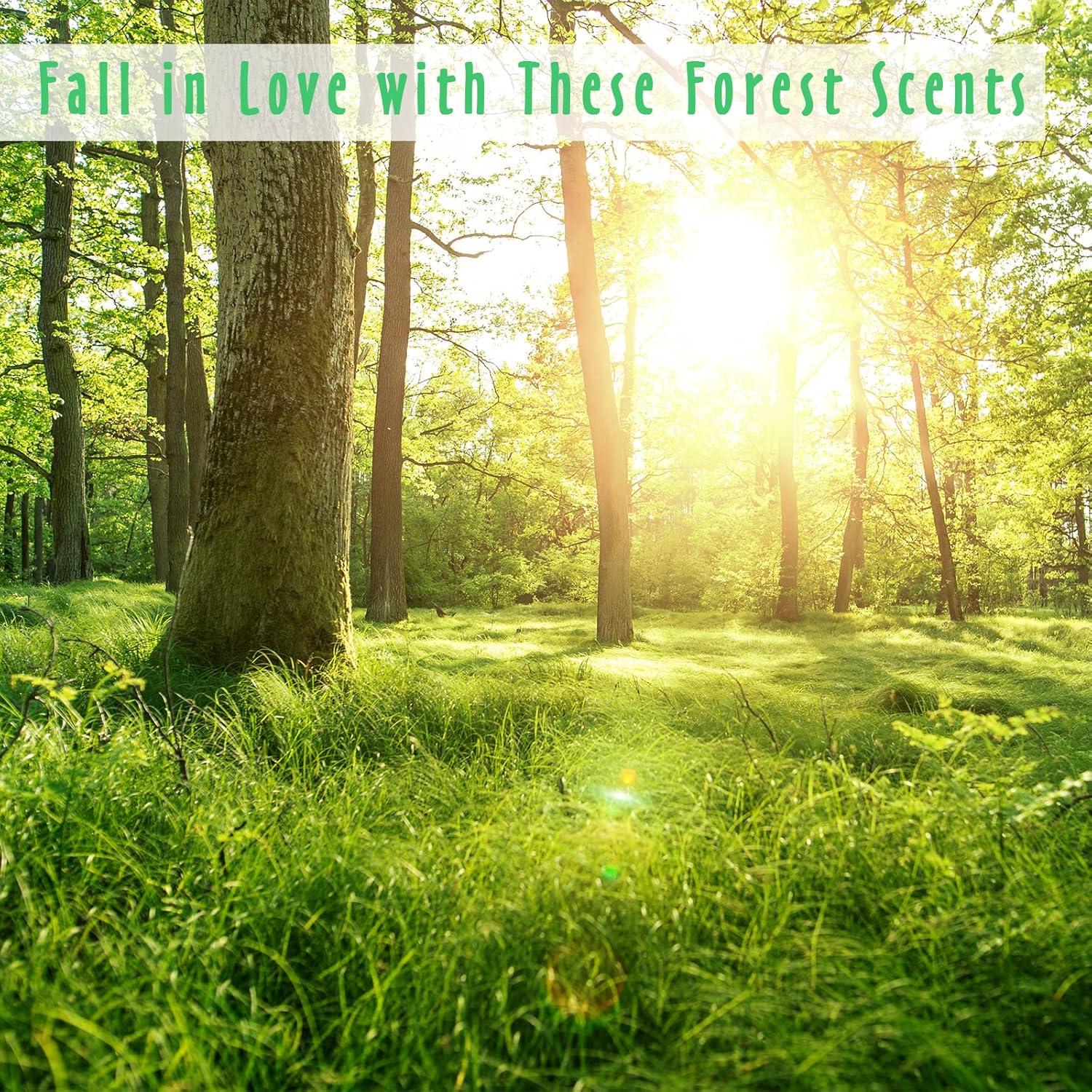 Conjunto de Aceites Esenciales MitFlor Woodland 10ml x 6