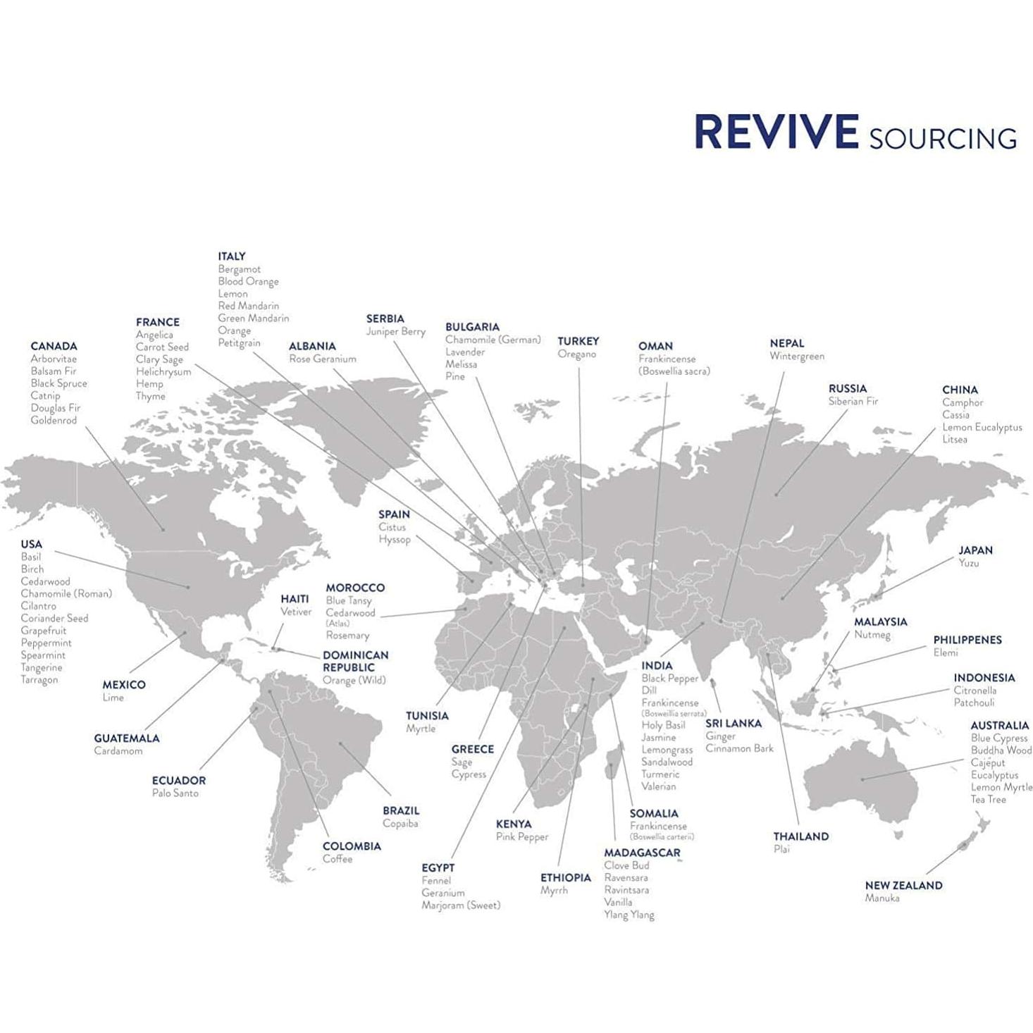 Aceite Esencial Pastel de Calabaza REVIVEEO 10 ml - 100% Puro