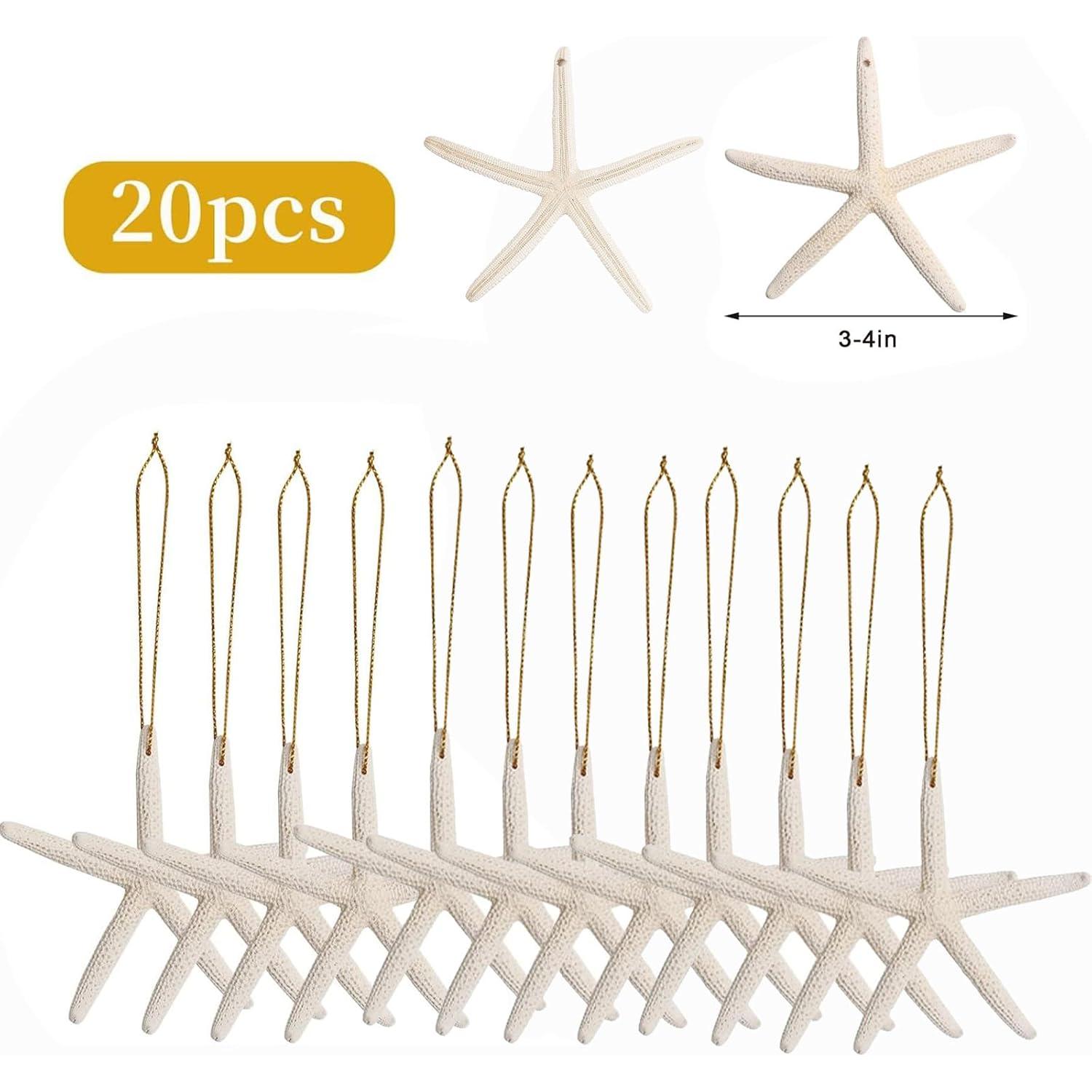 20 Adornos de Estrella de Mar Natural para Navidad - QICQDRAM