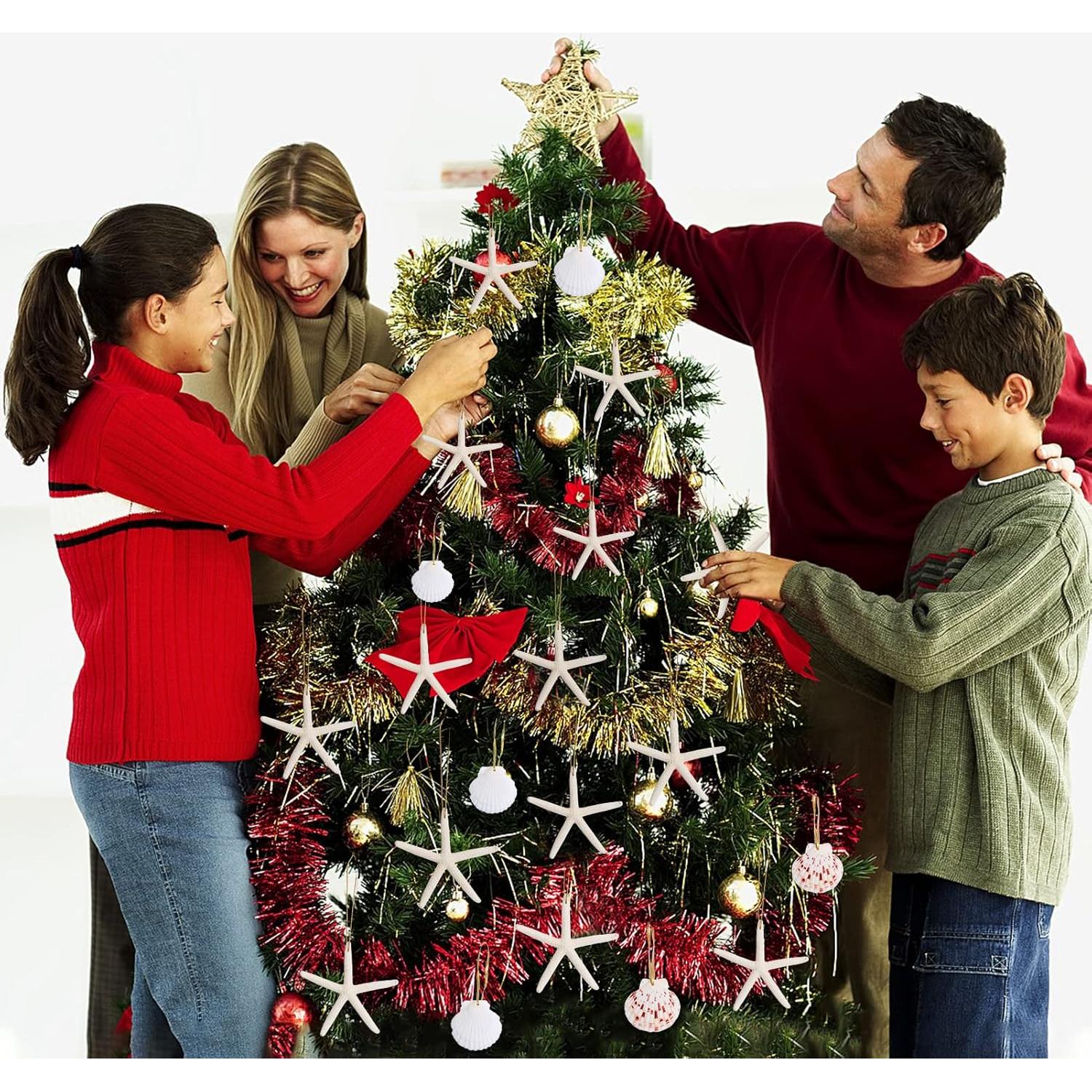 20 Adornos de Estrella de Mar Natural para Navidad - QICQDRAM