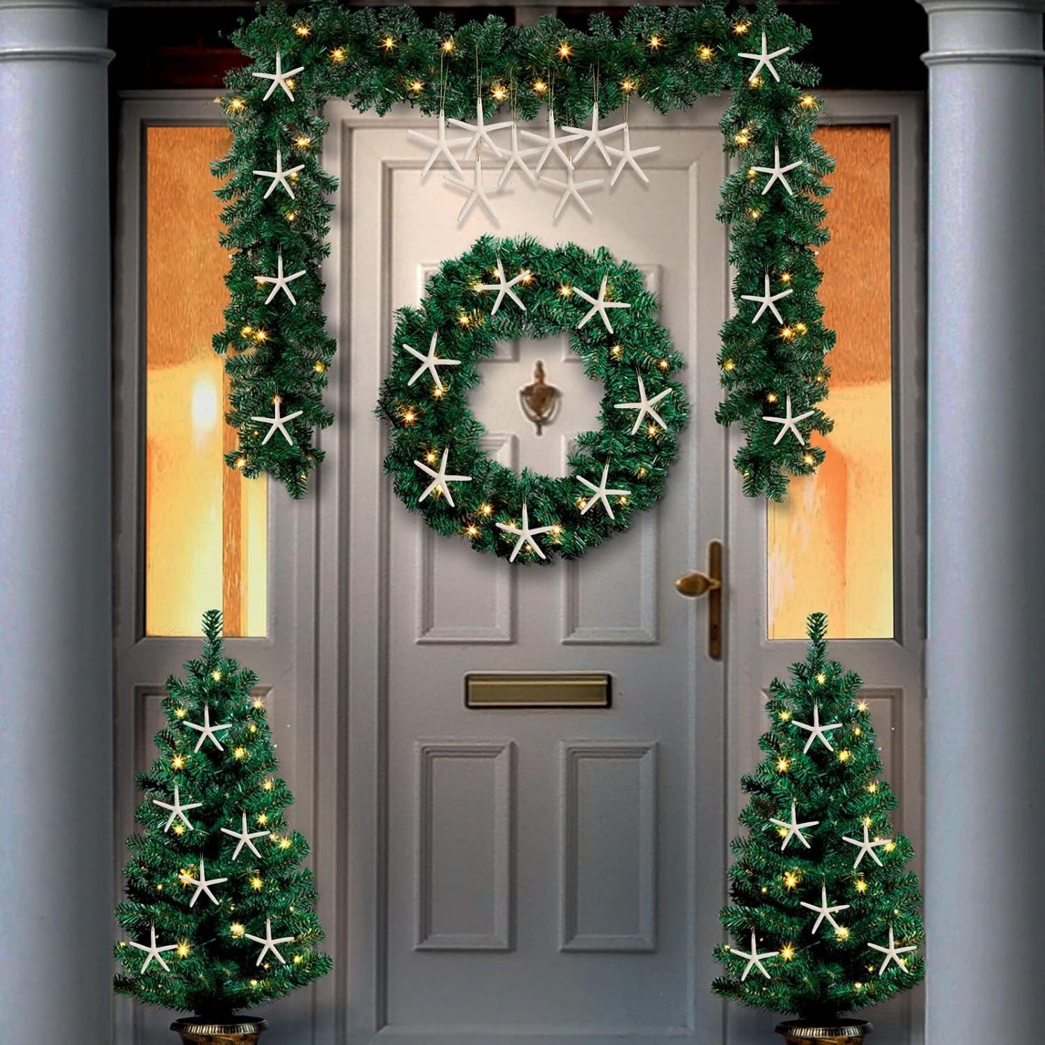 20 Adornos de Estrella de Mar Natural para Navidad - QICQDRAM