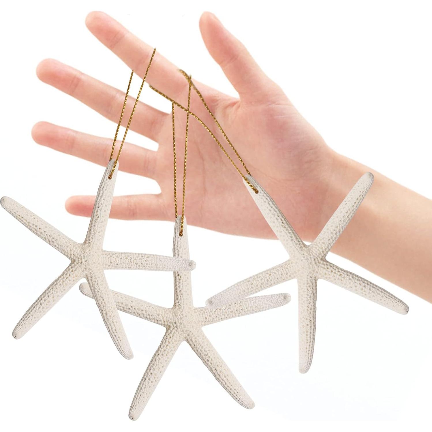 20 Adornos de Estrella de Mar Natural para Navidad - QICQDRAM