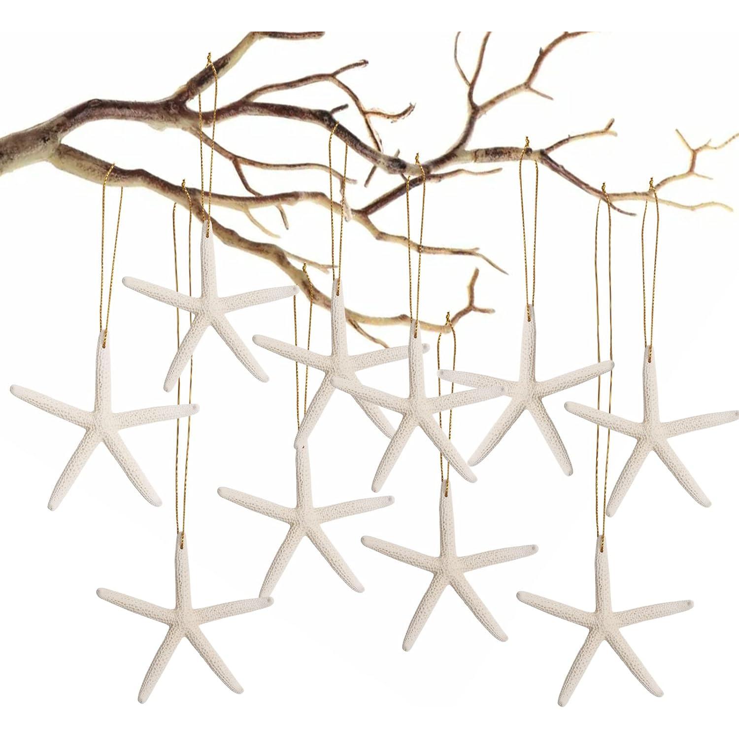 20 Adornos de Estrella de Mar Natural para Navidad - QICQDRAM
