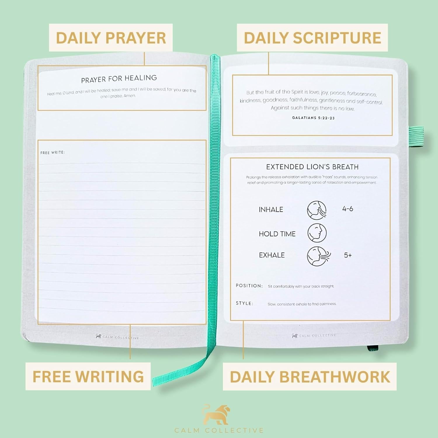 Kit de Relajación Espiritual: Diario de Oración y Panda Pacífico