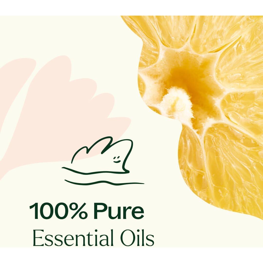 Aceite Esencial de Pastel de Limón Plant Therapy 10 mL 100% Puro