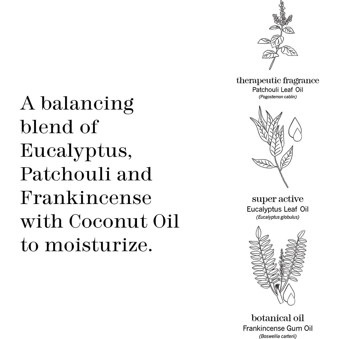 Set de Hidratación y Gel de Ducha ThisWorks Eucalipto 286 g