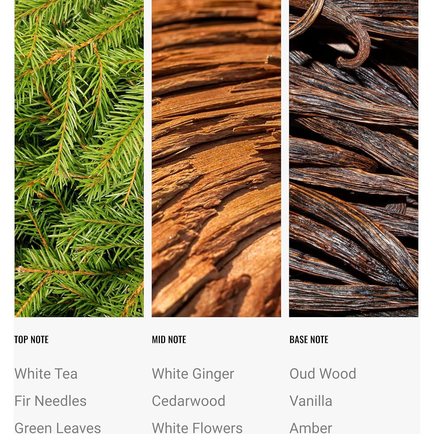 Aceite Difusor Jardín Botánico Aroma360 120mL - Hojas Verdes, Jengibre y Vainilla