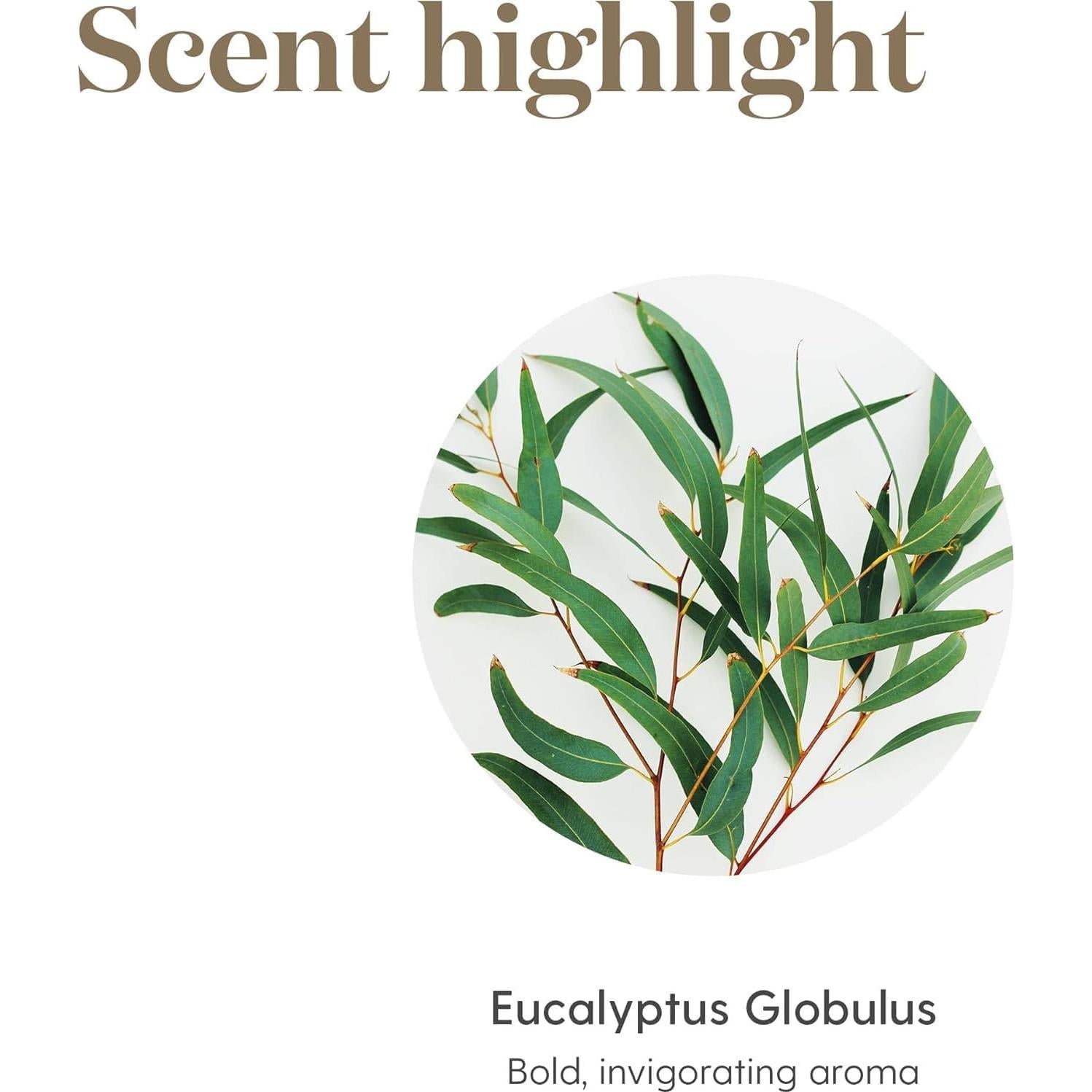 Aceite Esencial de Eucalipto Globulus Young Living 15ml - Aromaterapia Pura