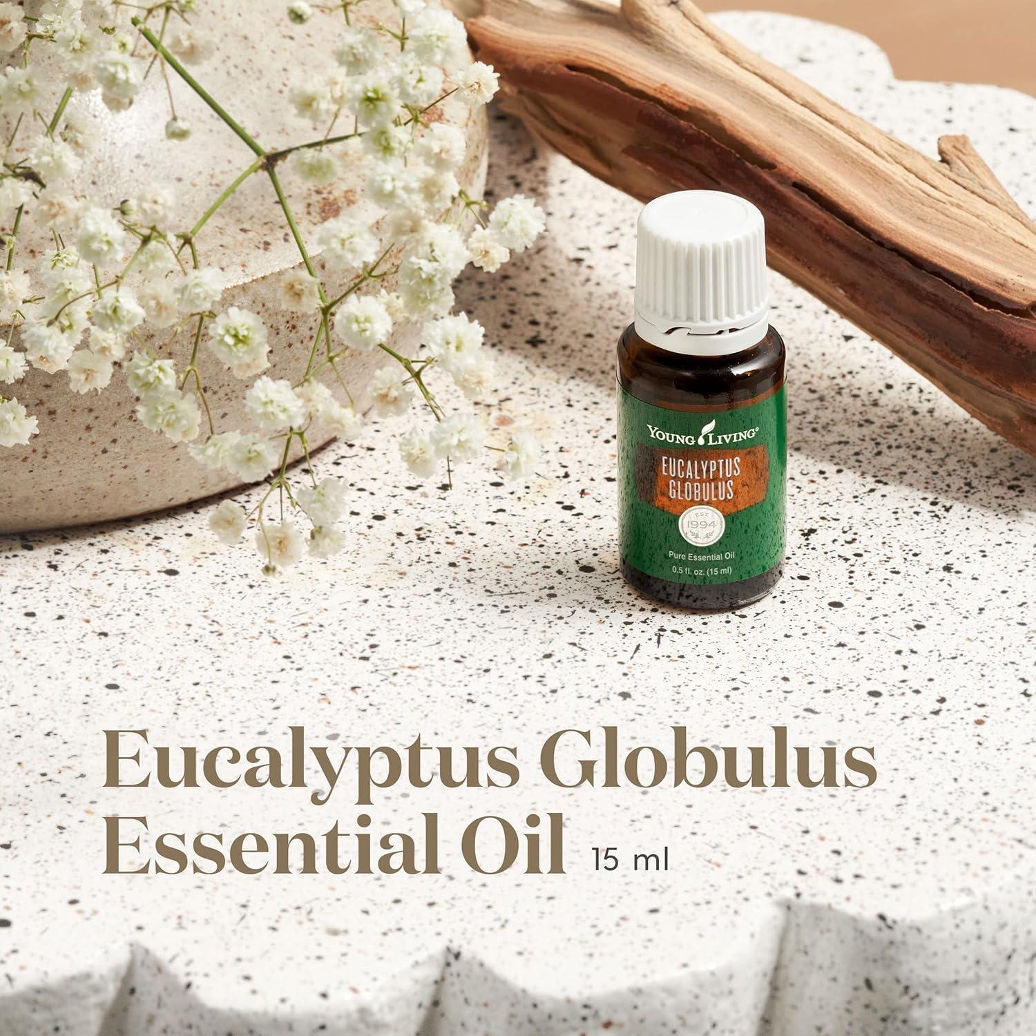 Aceite Esencial de Eucalipto Globulus Young Living 15ml - Natural y Orgánico