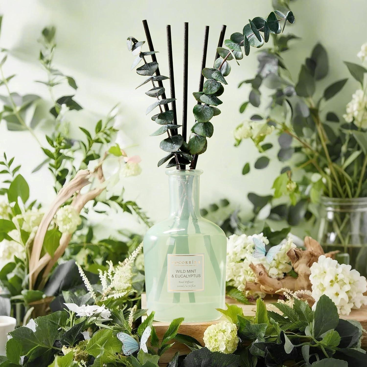 Difusor de Varitas COCORRÍNA Eucalipto y Menta 200ml