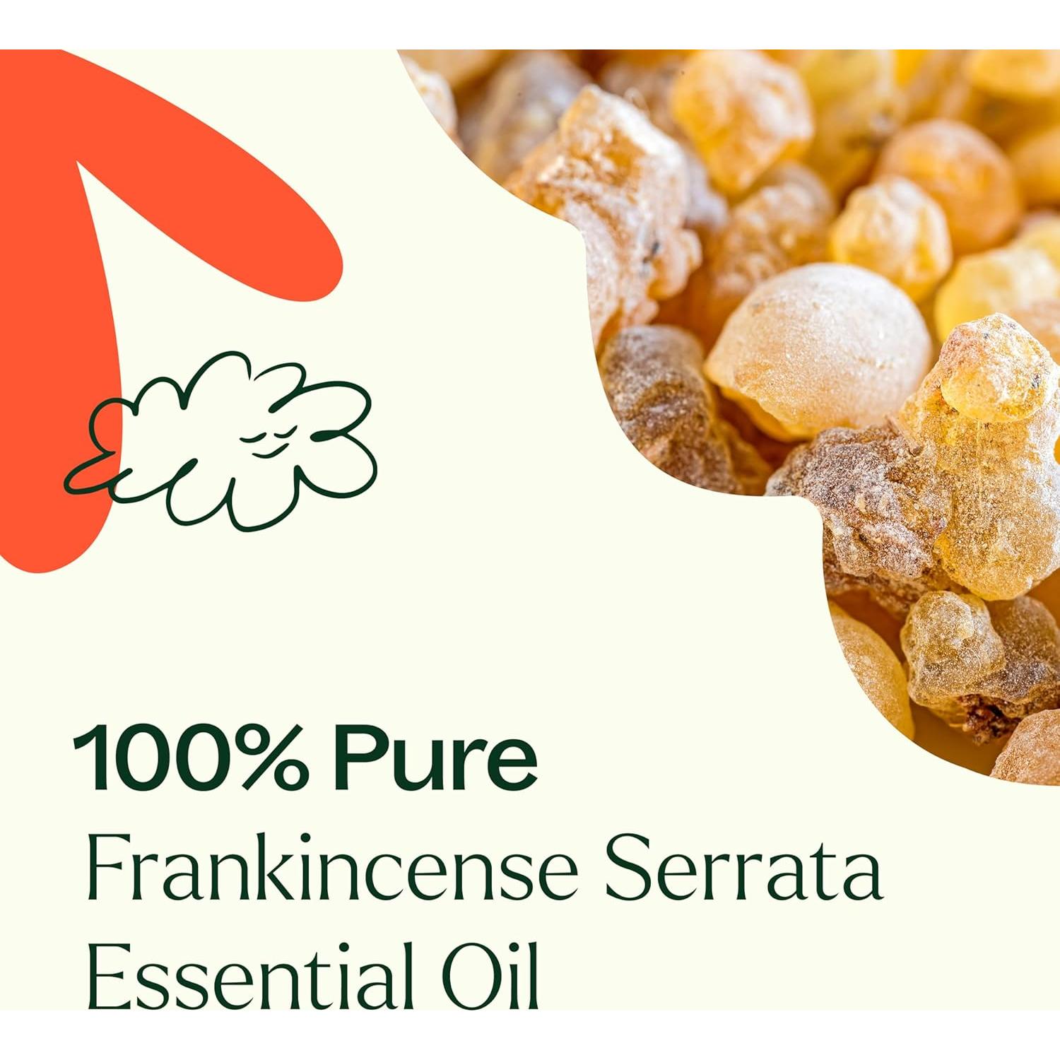 Aceite Esencial de Incienso Serrata 100% Puro 100 mL Plant Therapy