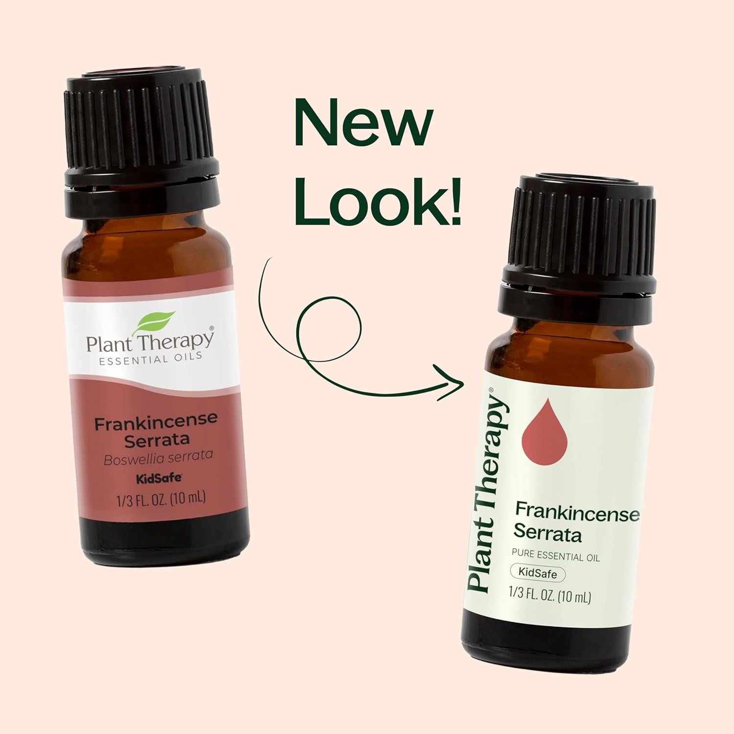 Aceite Esencial de Incienso Serrata 100% Puro 100 mL Plant Therapy