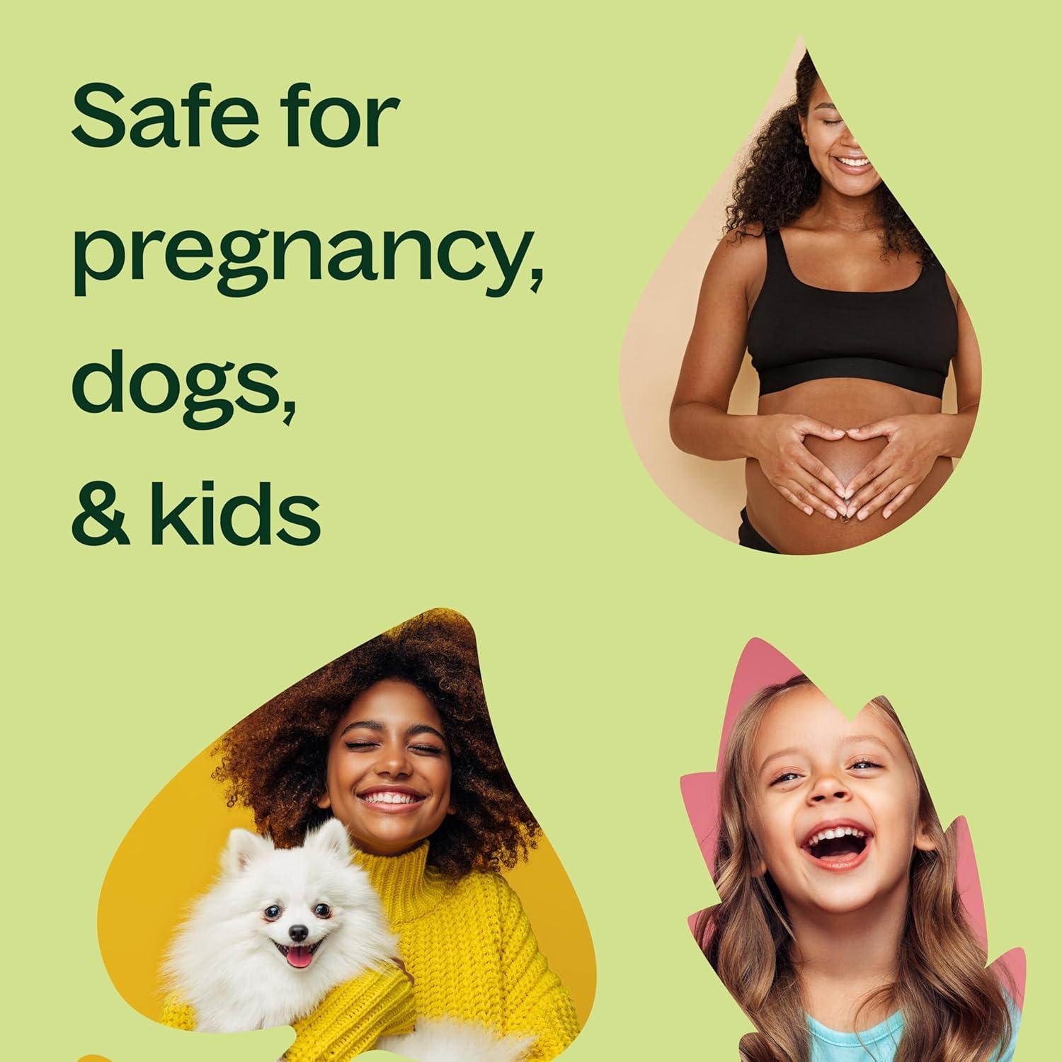 Aceite Esencial Ylang Ylang 100% Puro Plant Therapy 10 mL