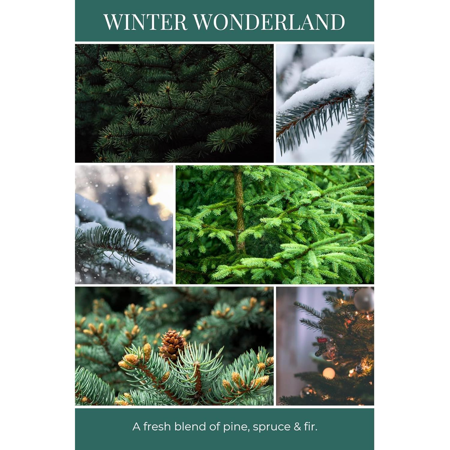 Difusor de Varillas Eco Candle Co. Maravilla Invernal 113 ml