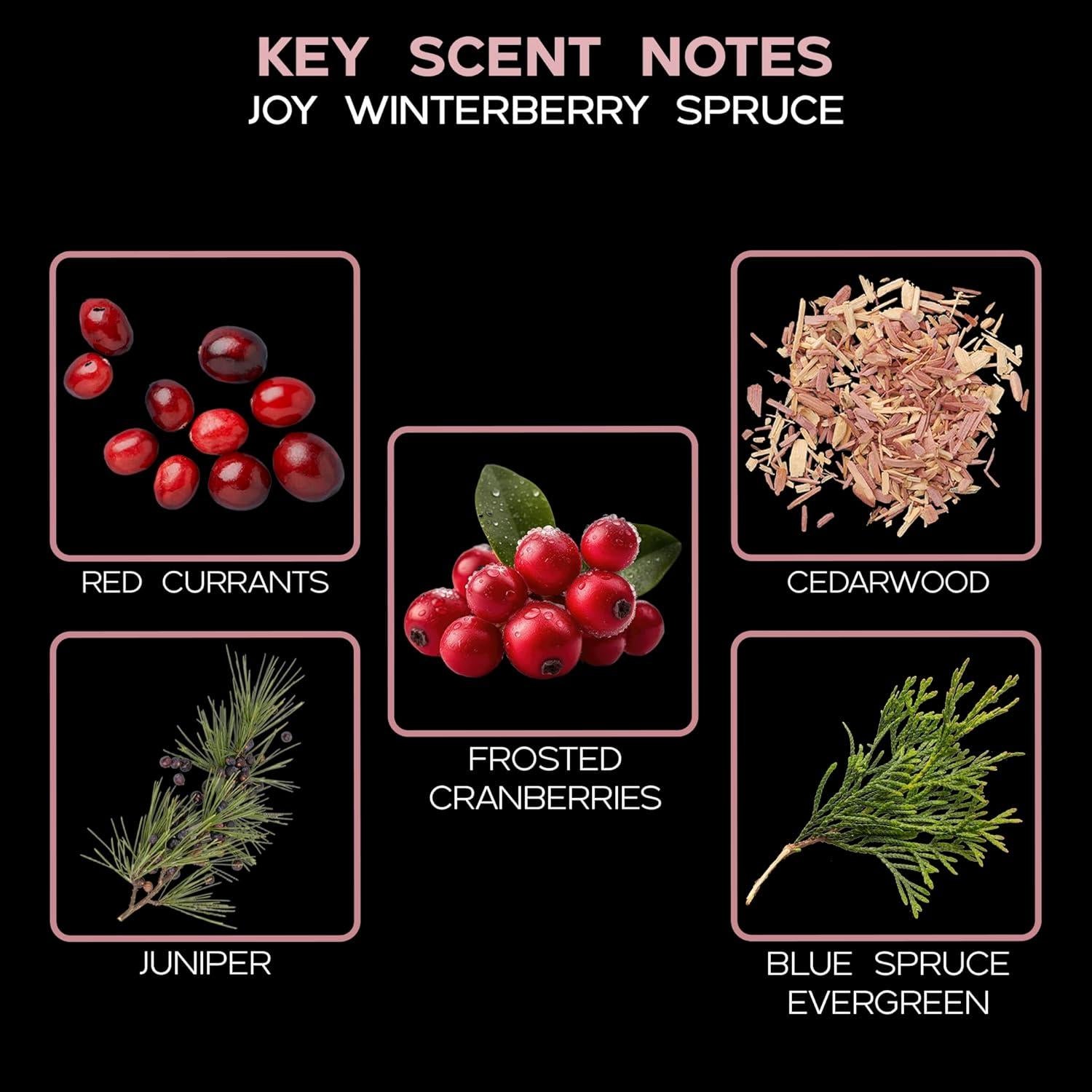 Difusor de Varillas LOVSPA 118ml Abeto de Baya de Invierno