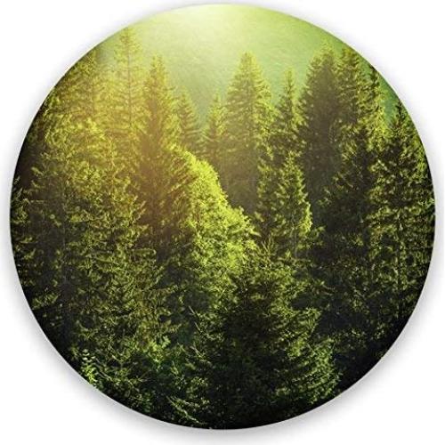 Vela de Soja Aromatizada Pino Azul Velas de Roxanna 453g