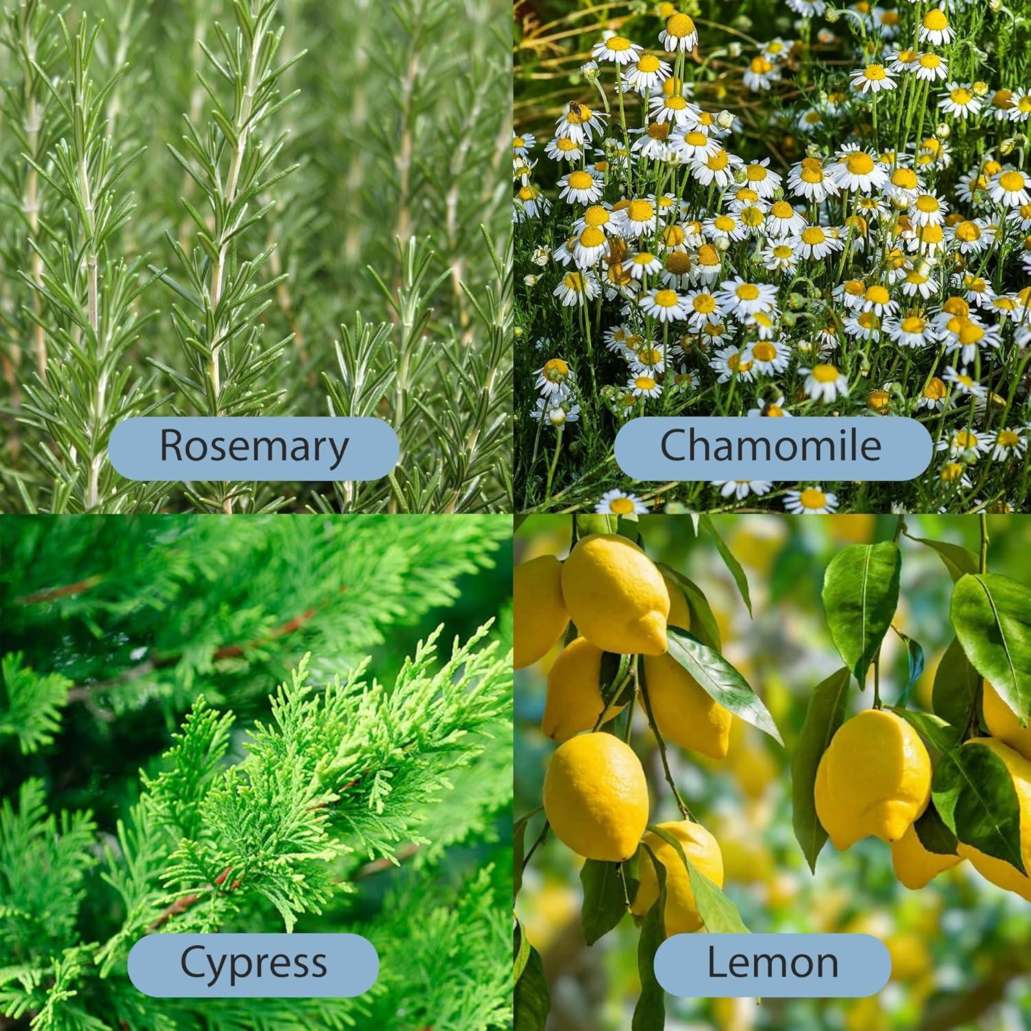 Aceite Botánico Relaxcation para Chakra de la Garganta 59 ml