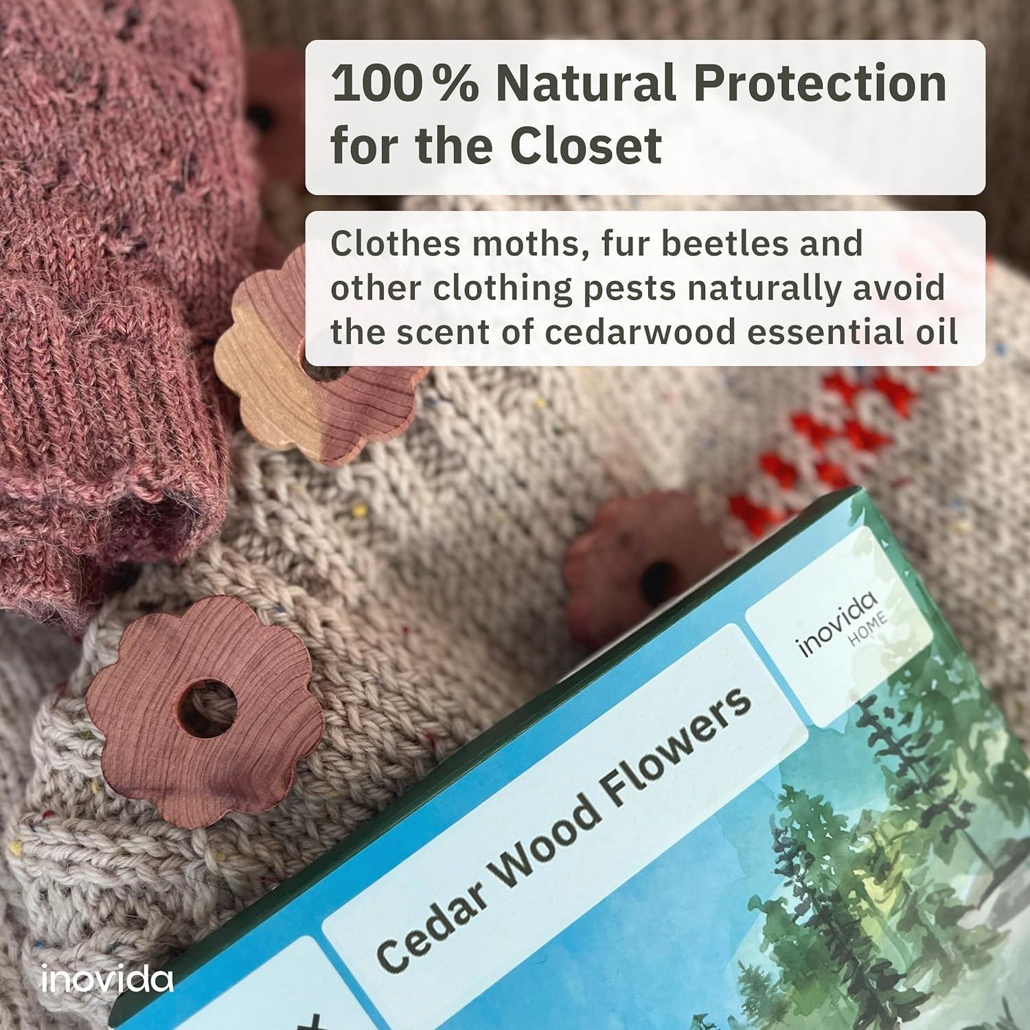 30 Anillos de Madera de Cedro Americano - Ambientador Natural