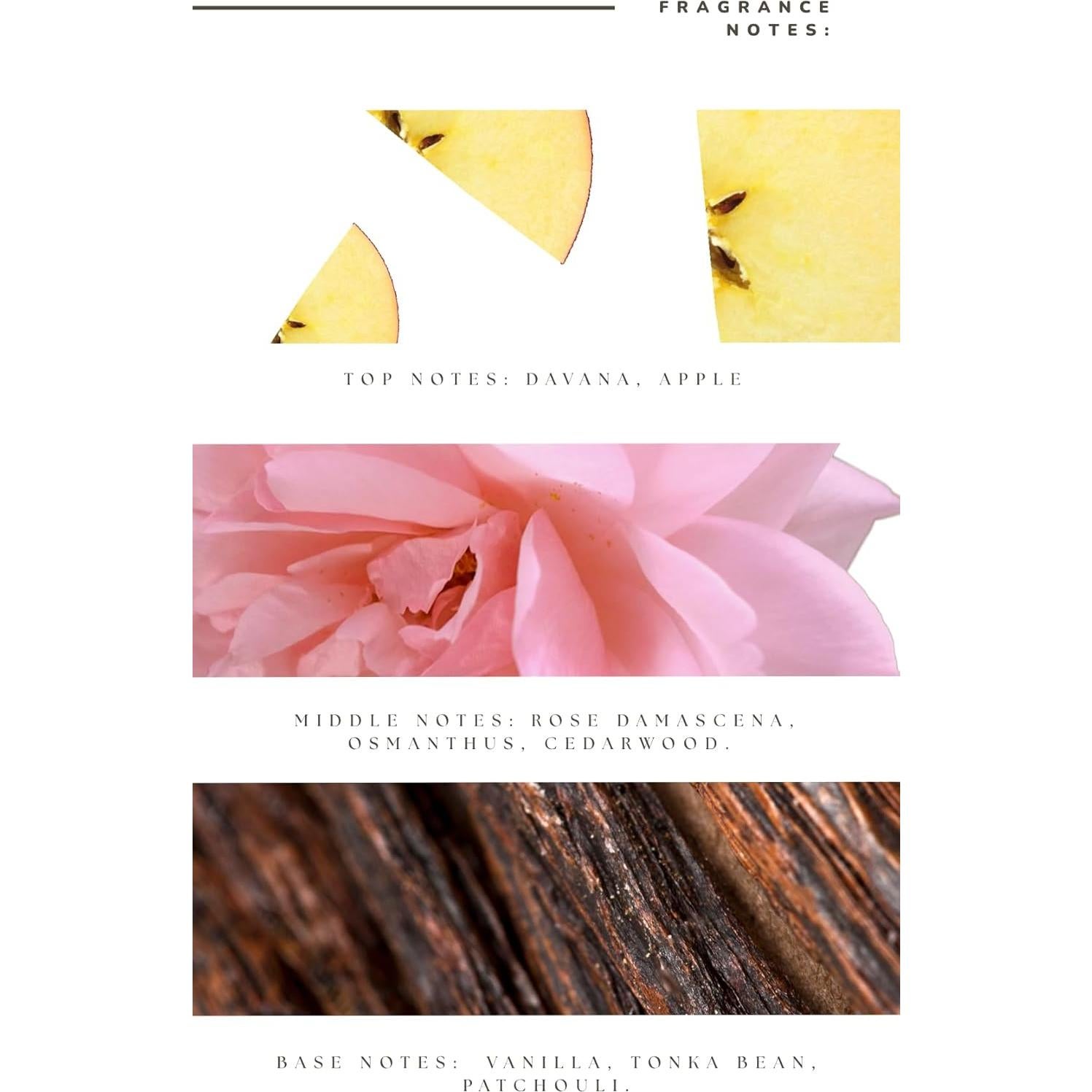 Aceite Esencial Absoluto Kassa Aromas 115 ml - Fragancia Lujo