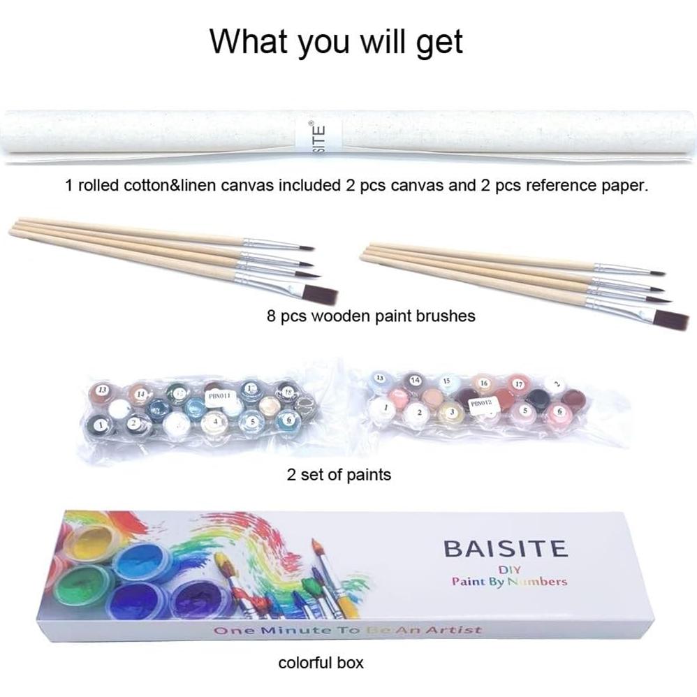 Kit de Pintura por Números BAISITE 2 Lienzos 40.64x30.48 cm