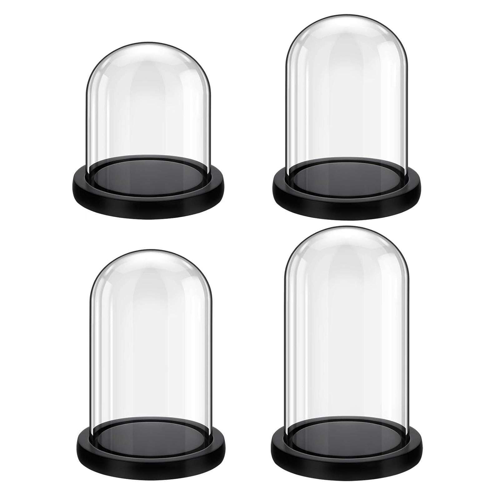 Cúpulas de Vidrio con Base de Madera Suclain - 4 Piezas