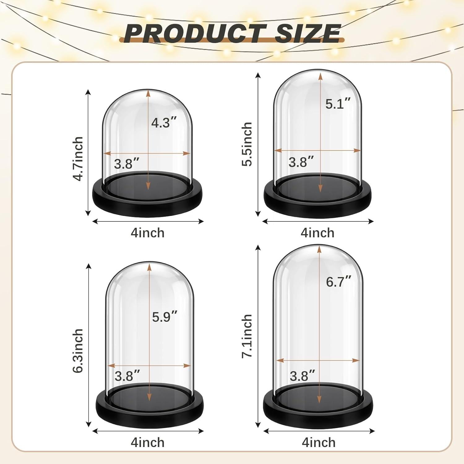 Cúpulas de Vidrio con Base de Madera Suclain - 4 Piezas