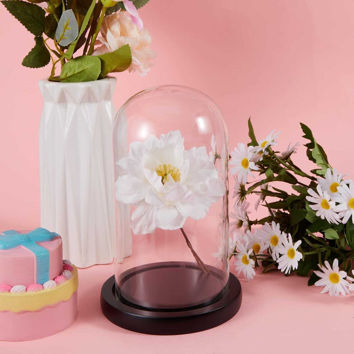 Cúpulas de Vidrio con Base de Madera Suclain - 4 Piezas