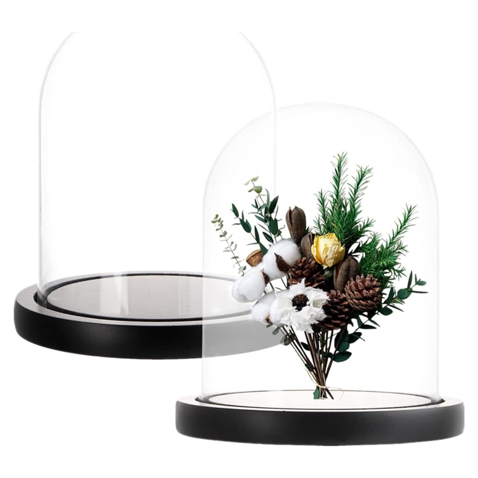 Juego de 2 Campanas de Vidrio ZOOFOX con Base de Madera Negra