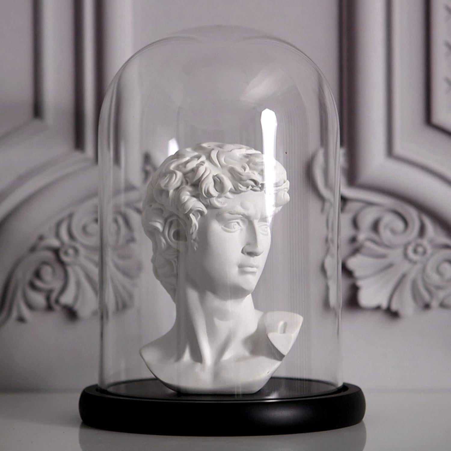 Juego de 2 Campanas de Vidrio ZOOFOX con Base de Madera Negra