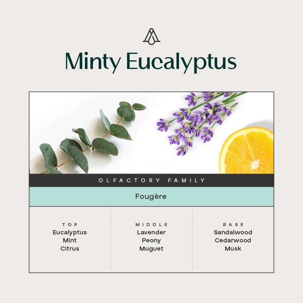 Difusor de cañas AromaPlan Eucalipto Mentolado 250ml