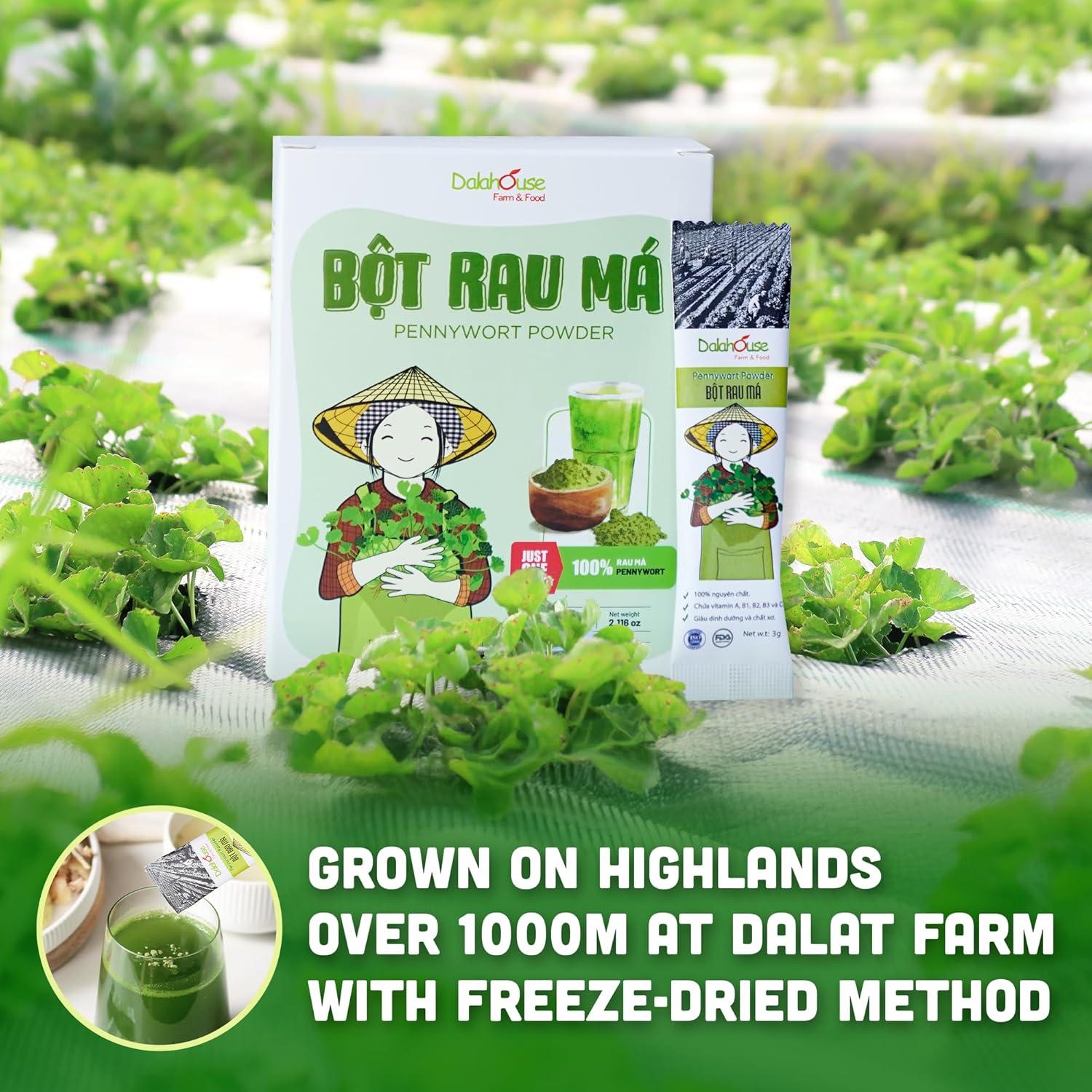 Polvo de Centella Asiática Liofilizado Dalahouse 120 g - Suplemento Natural