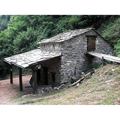 Harina de Castaña Italiana Giannetti 499g - Artesanal Toscana