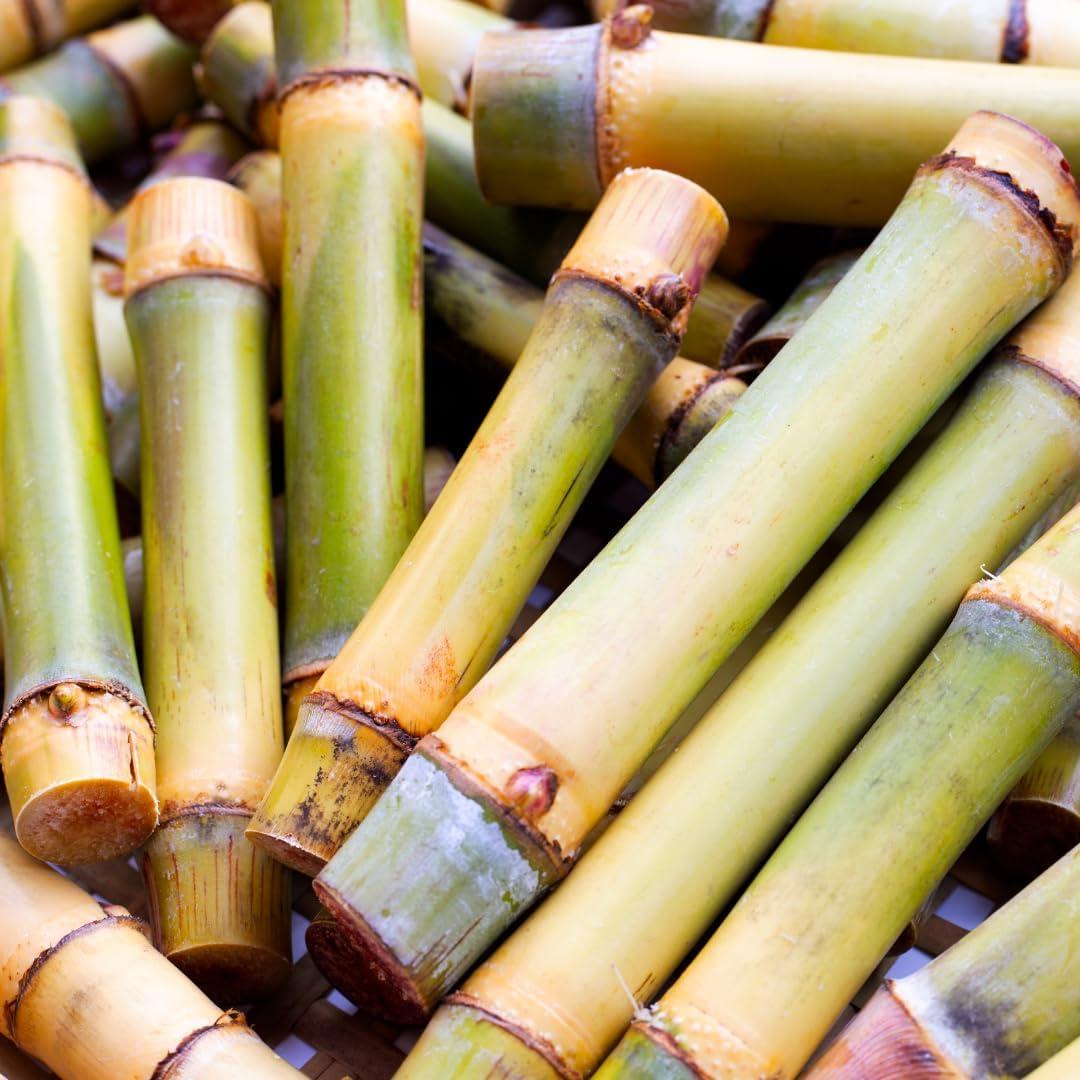 Extracto de Bambú Ingredientes Originales Puros 227g No OGM