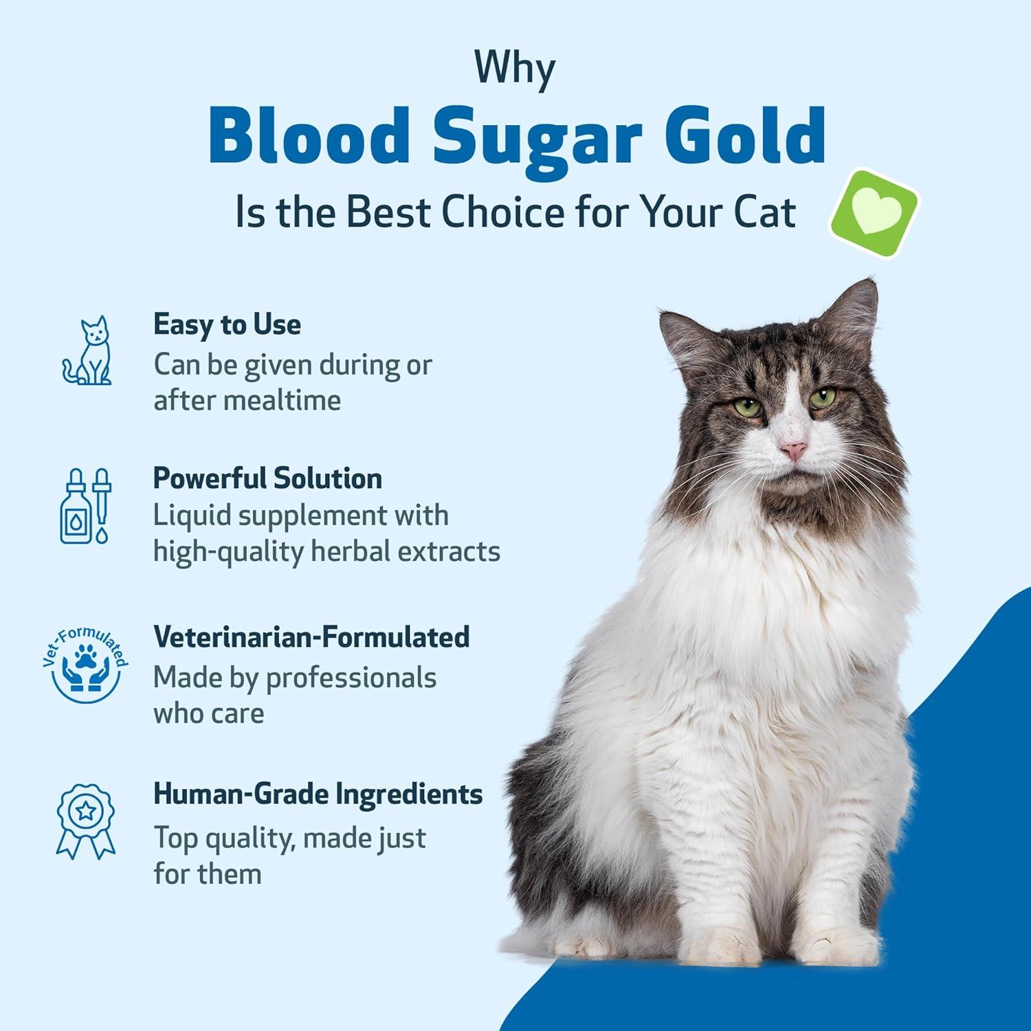 Suplemento Líquido para Gatos Pet Wellbeing Blood Sugar Gold 59ml