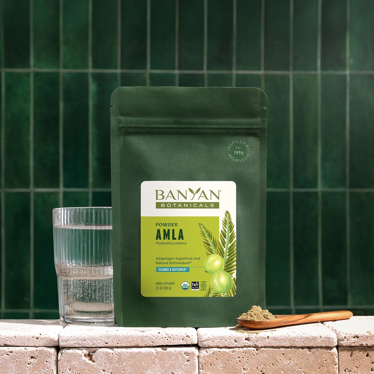 Polvo de Amla Orgánico Banyan Botanicals 99.22g - Vitamina C