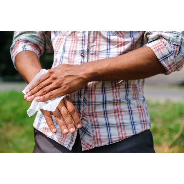 Toallitas Hidratantes SPF 50 Eagle Wipes Biodegradables 164g