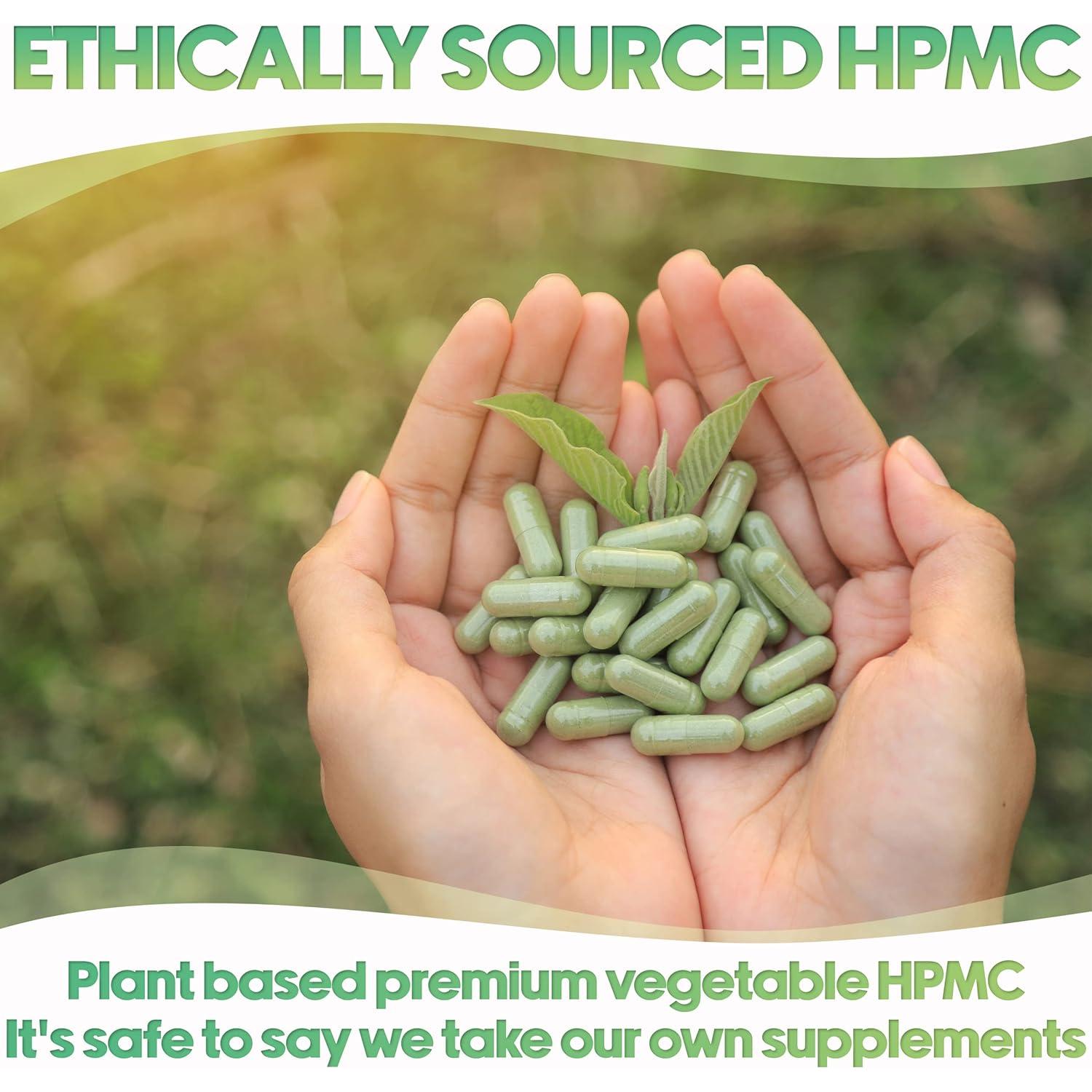 Cápsulas Vacías Veganas XPRS Nutra Tamaño 00 - 100 Unidades