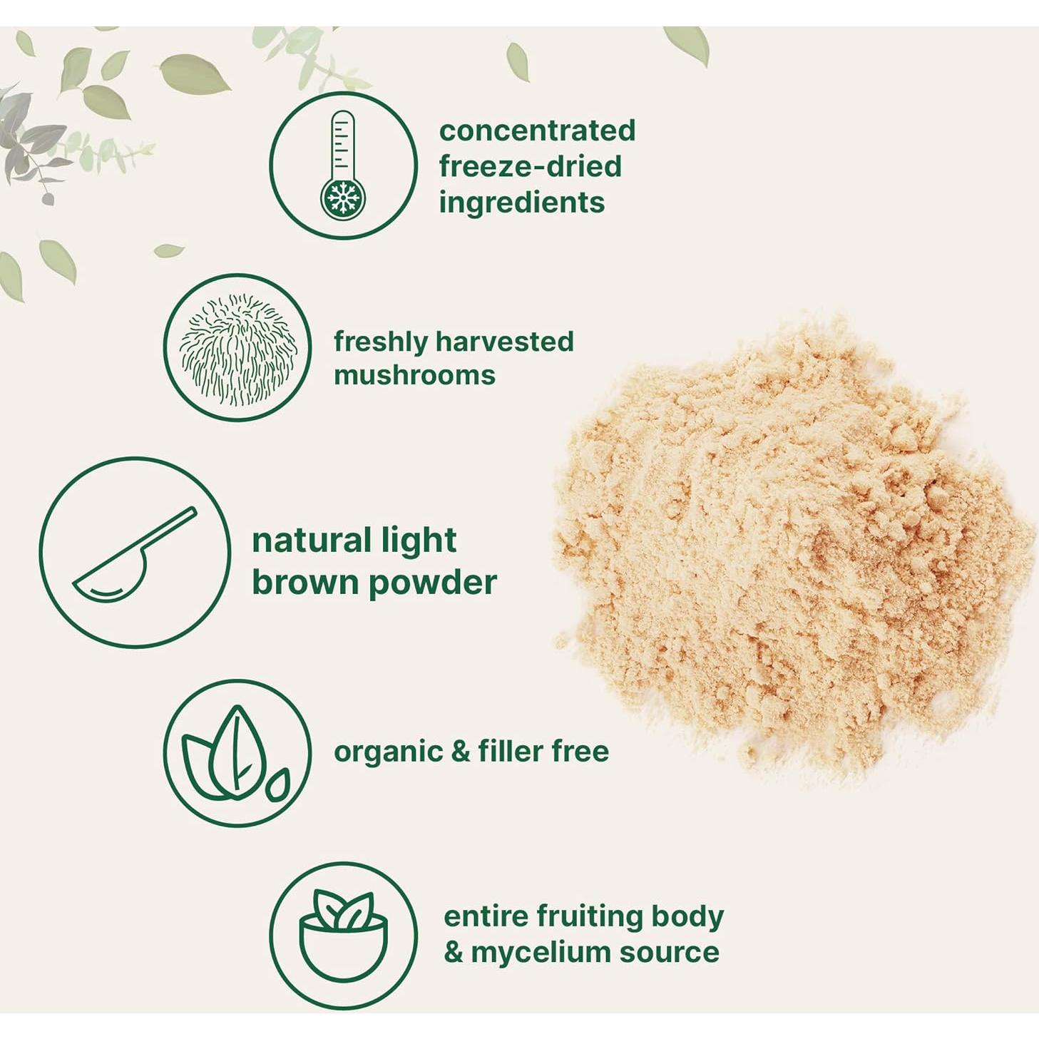 Polvo de Hongo Melena de León Orgánico Micro Ingredients 227g