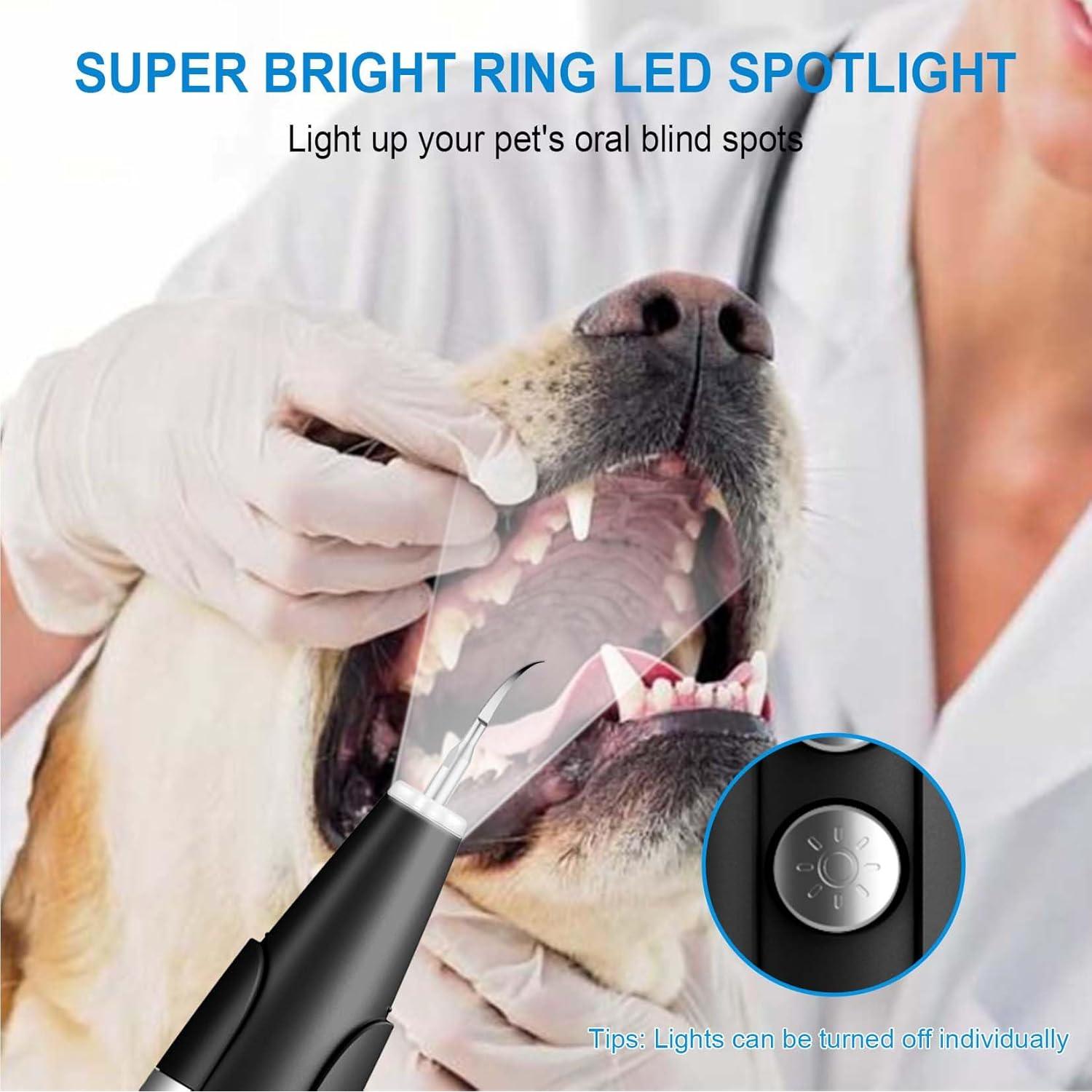 Limpiador Ultrasónico de Dientes para Perros Ni-SHEN 5 Modos LED