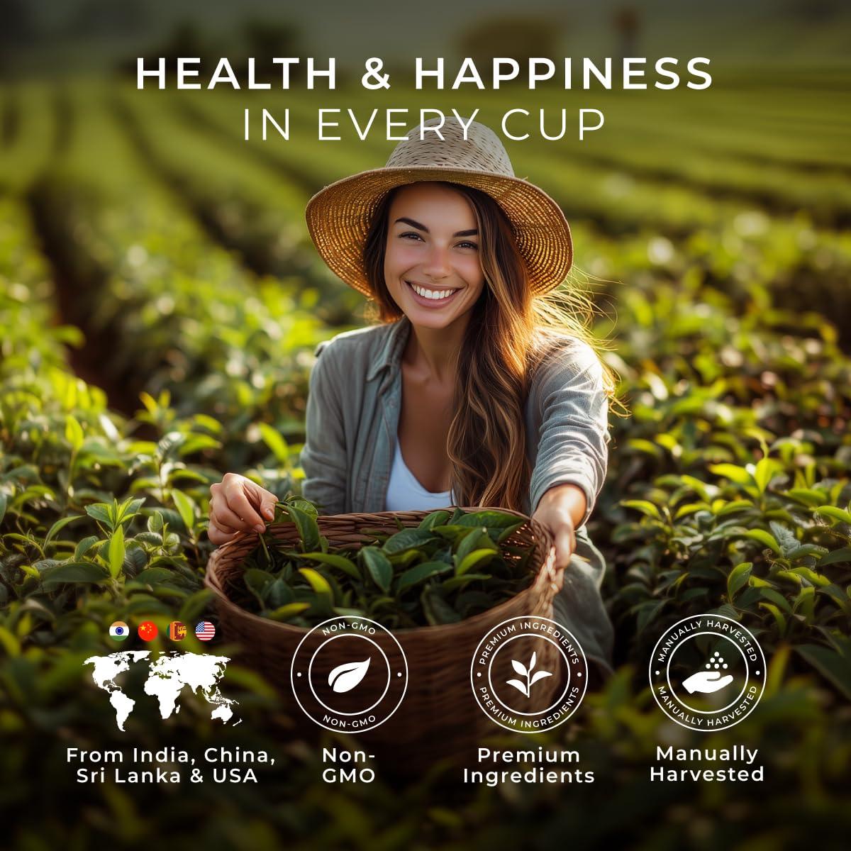 Gya Tea Co Colección de Té de Navidad - 20 Bolsitas Variadas