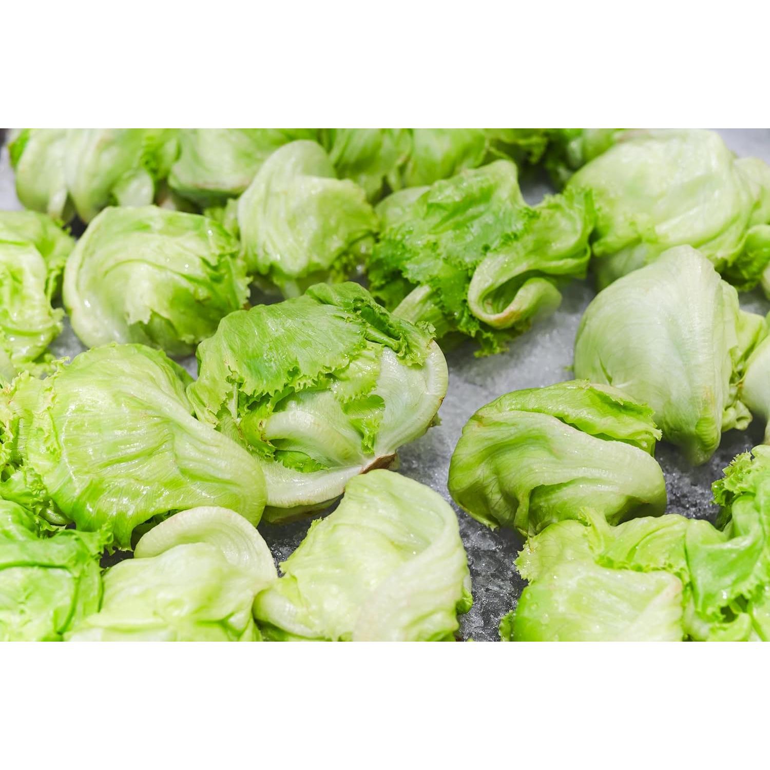 Lechuga Iceberg Fresca RawJoy 0.45 kg - Crujiente y Versátil