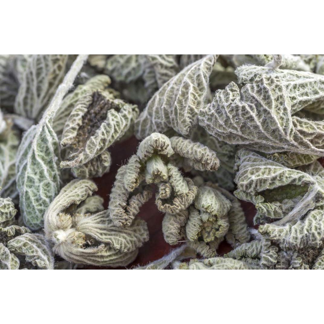 Té Herbal de Horehound Negro Health Embassy 100g - Ballota Nigra
