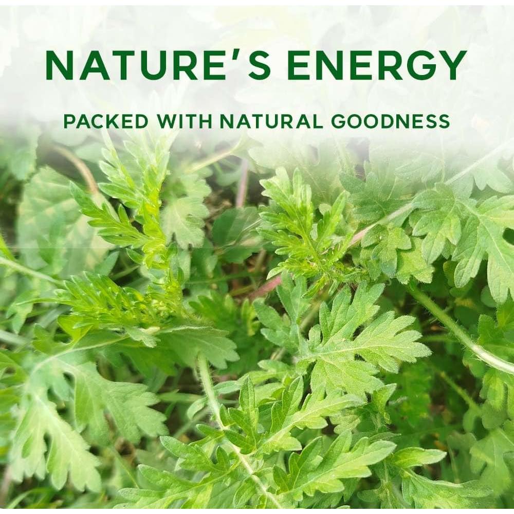 Polvo de Artemisa Coreana K-Herb 300g - 100% Puro y Natural