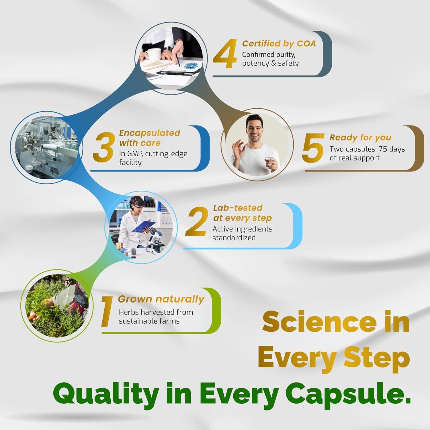 Suplemento Vegatot 9 en 1 - Creatina, L-Citrulina, L-Arginina
